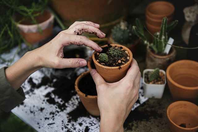 Make money on your hobby