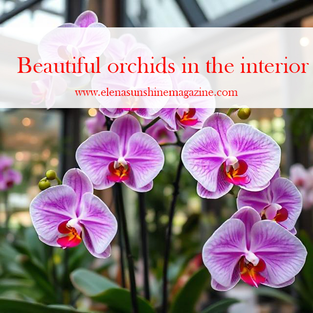 Beautiful orchids in the interior