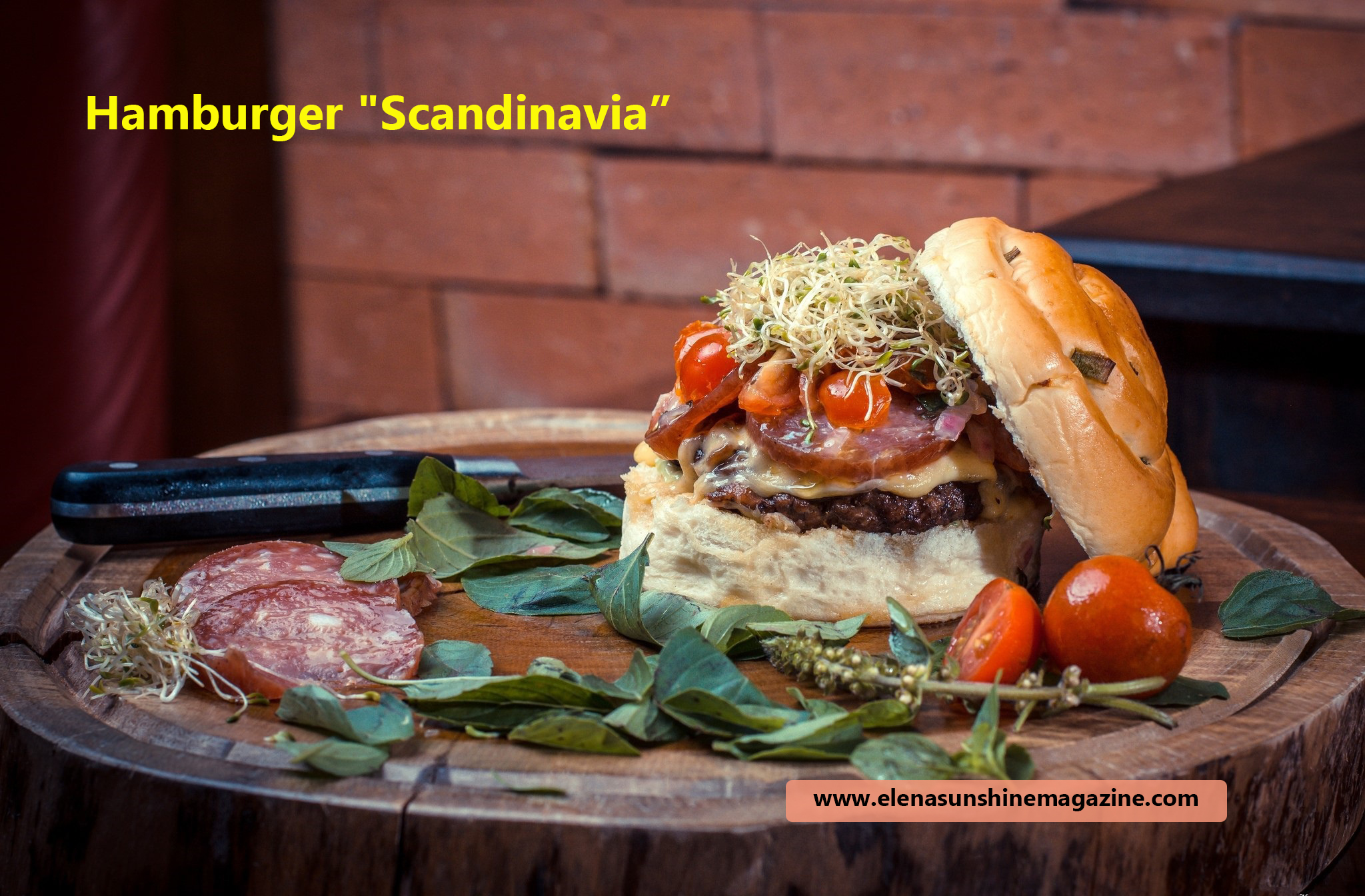 Hamburger Scandinavia