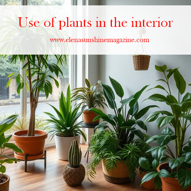 Use of plants in the interior