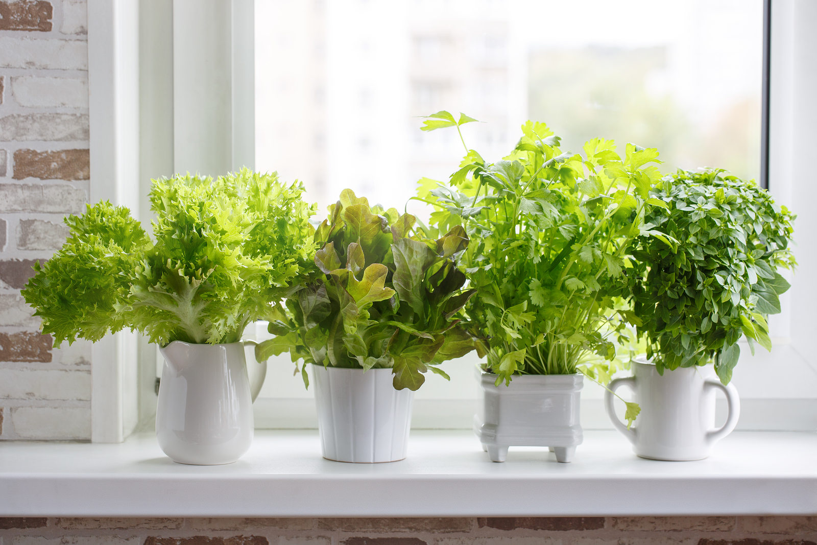 7 Secrets of growing aromatic herbs in the kitchen