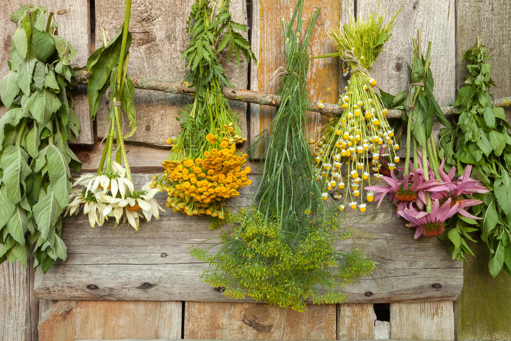 7 Secrets of growing aromatic herbs in the kitchen