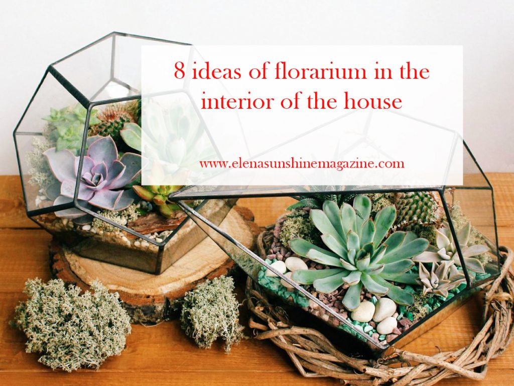 8 ideas of florarium in the interior of the house