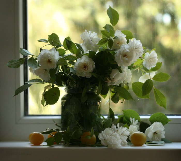Bouquet on the window