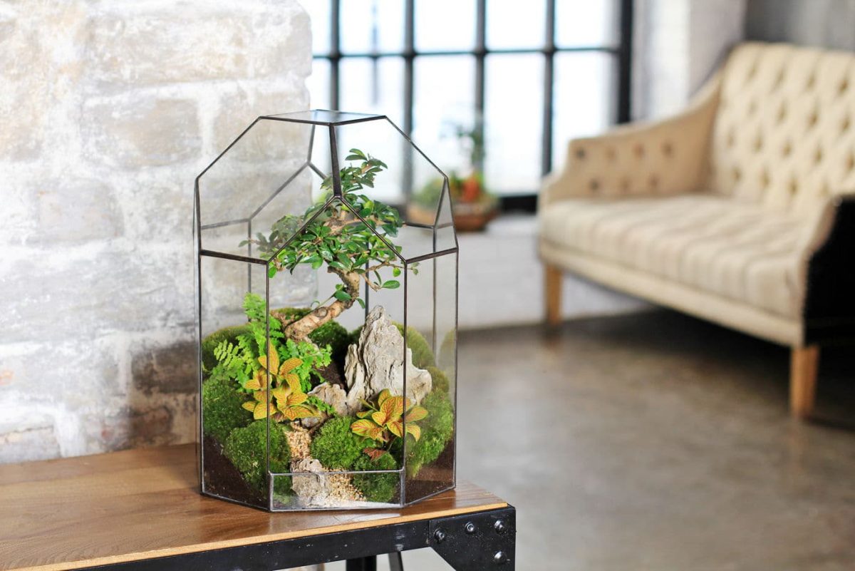 8 ideas of florarium in the interior of the house - Elena Sunshine ...