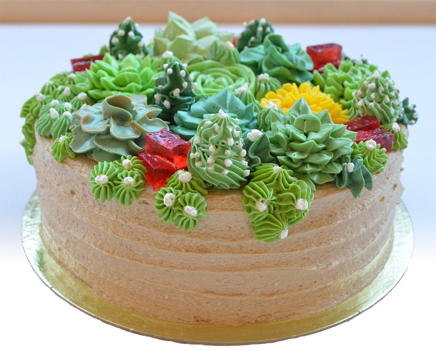 Sweet succulents cake