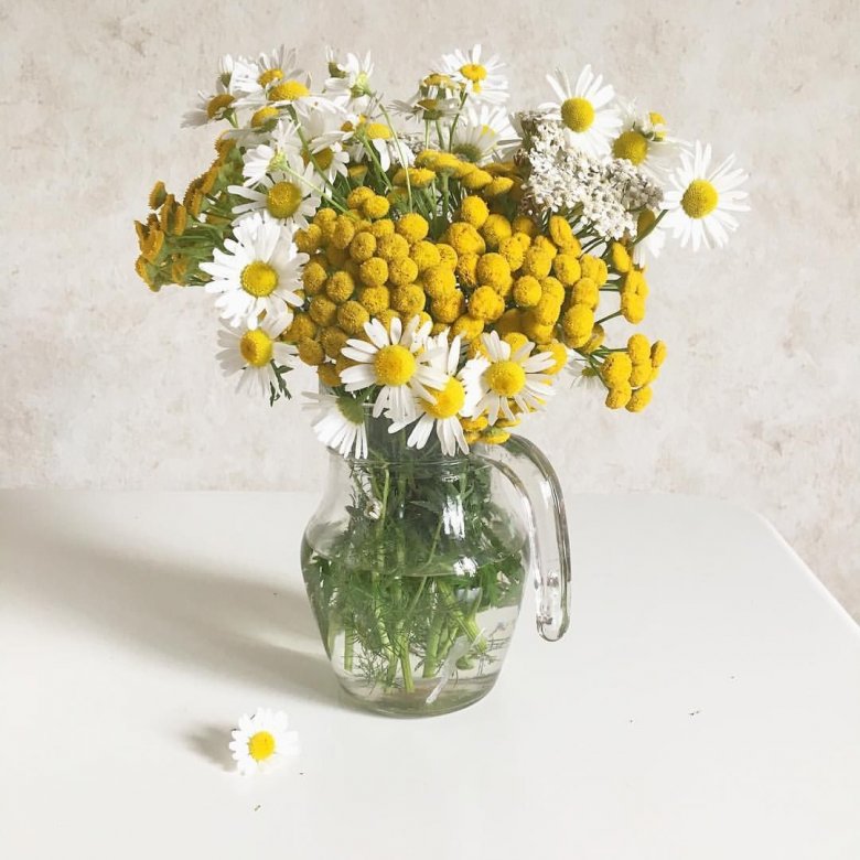 bouquet of daisies