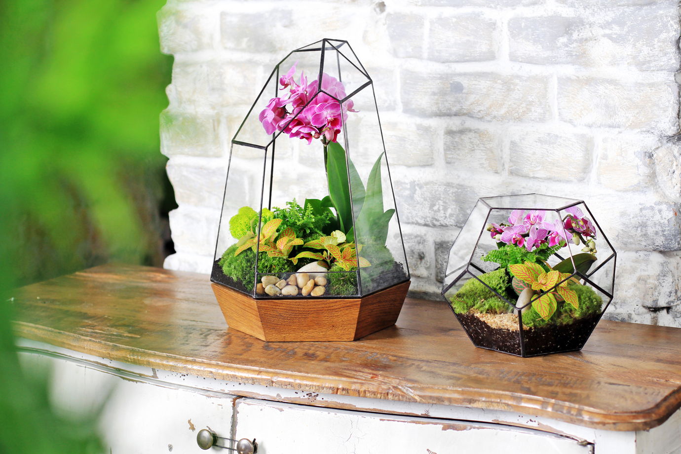 5 tips for creating a mini Garden in a florarium - Elena Sunshine Magazine®