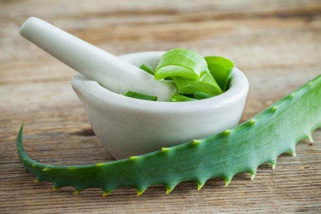 15 recipes with aloe for any type of skin from wrinkles