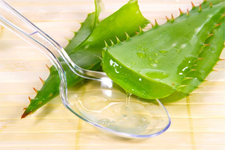 15 recipes with aloe for any type of skin from wrinkles