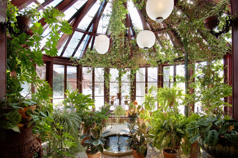 5 tips for decorating a winter garden at home