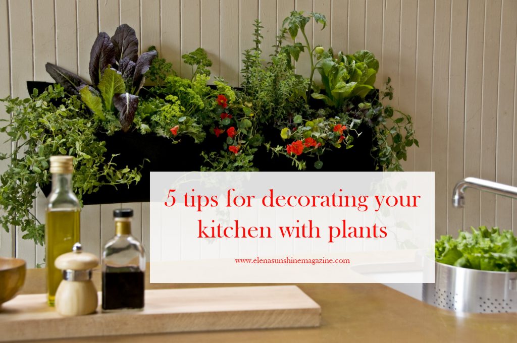 5 tips for decorating your kitchen with plants