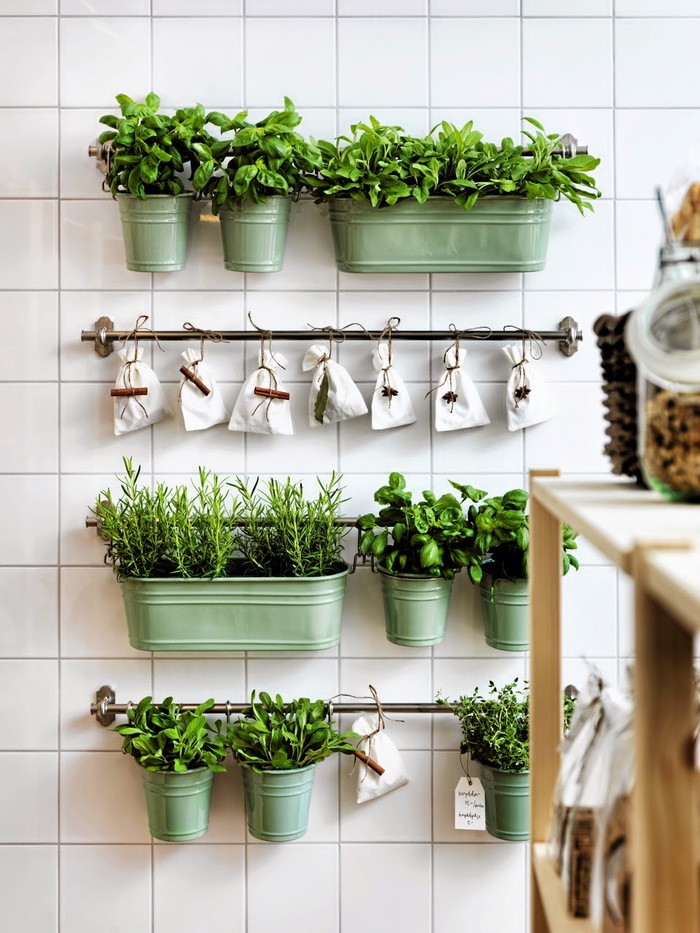 5 tips for decorating your kitchen with plants