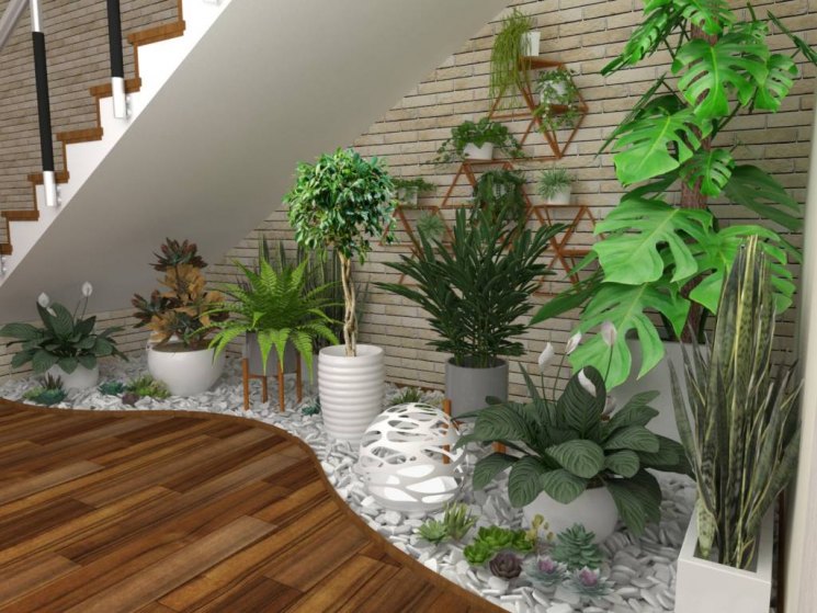 Arrangement of plants under the stairs