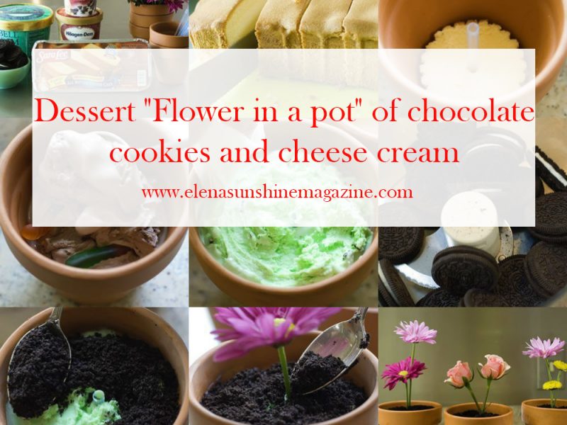 Dessert "Flower in a pot" of chocolate cookies and cheese cream