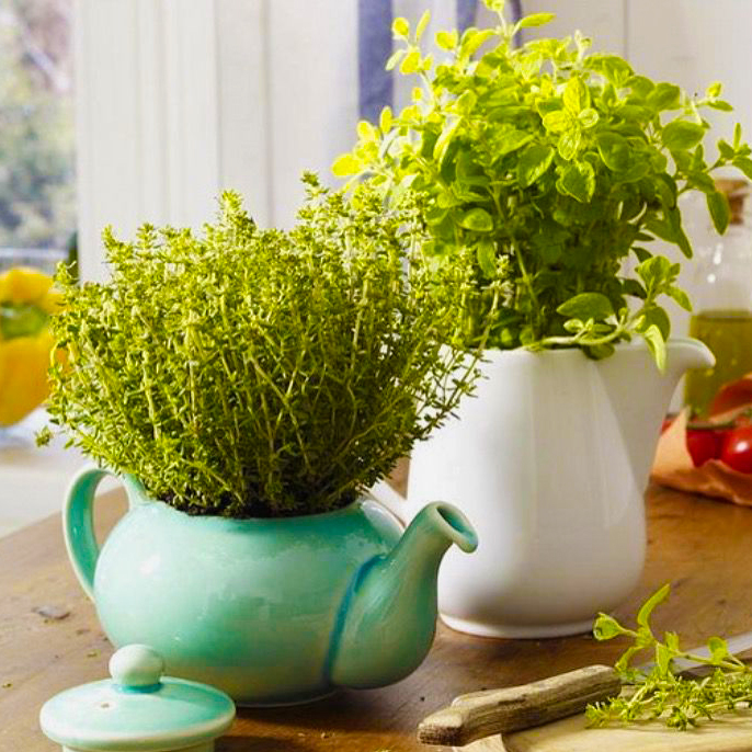 You can grow herbs and herbs in the kitchen