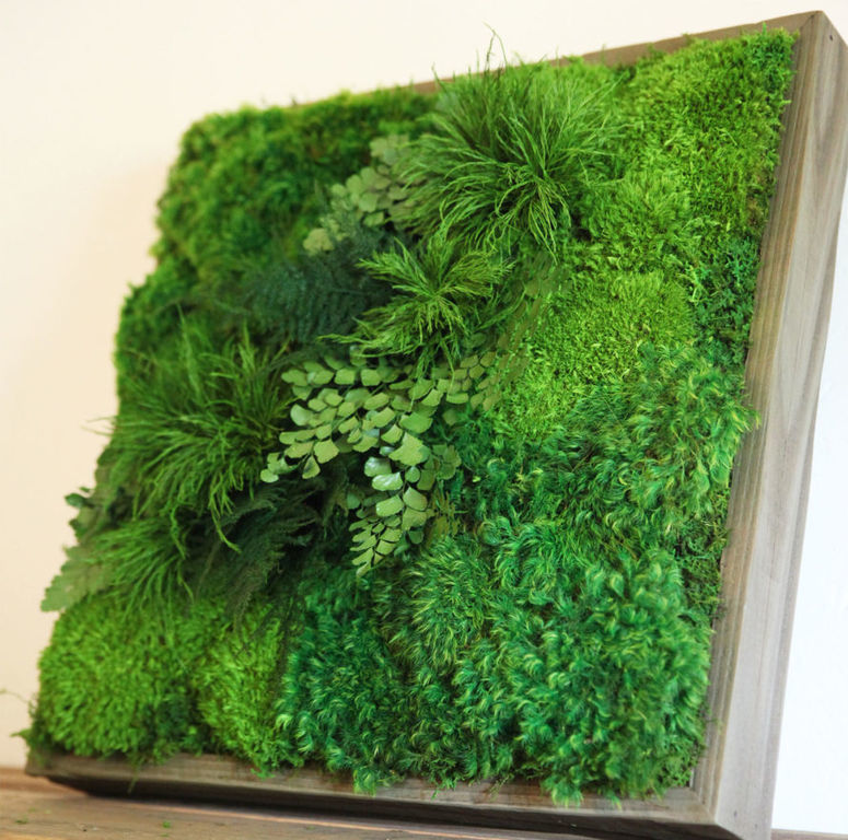 Master class: How to make a wall panel from living plants?