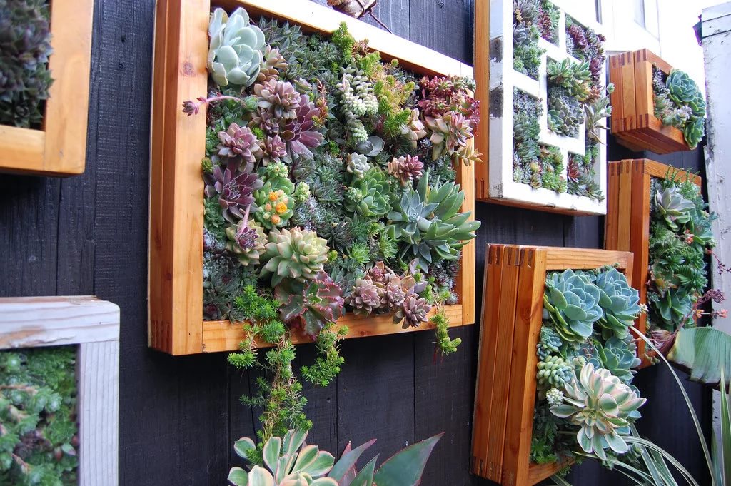 Master class: How to make a wall panel from living plants?