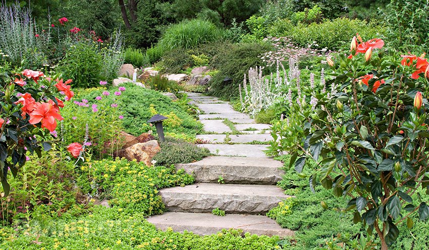 3 useful ideas for creating a garden in a natural style