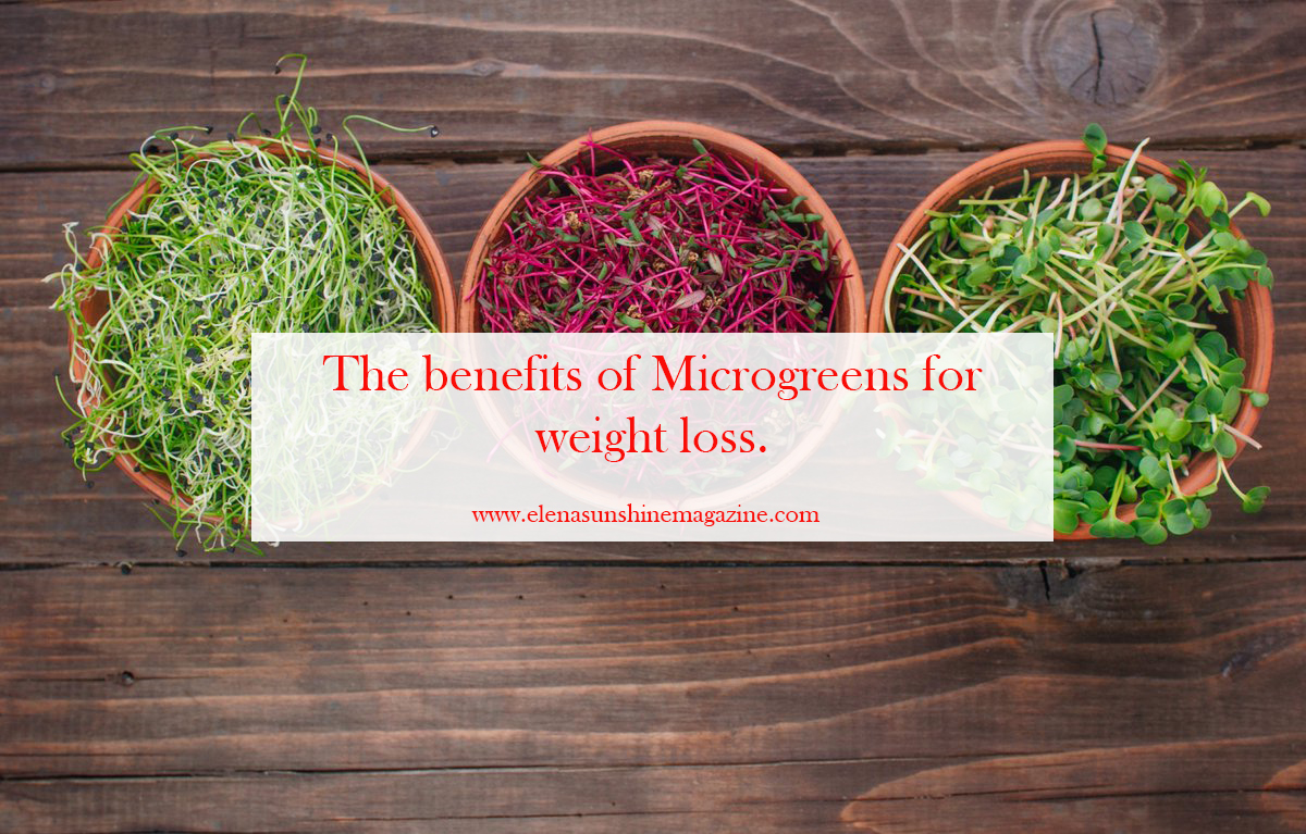 The benefits of Microgreens for weight loss