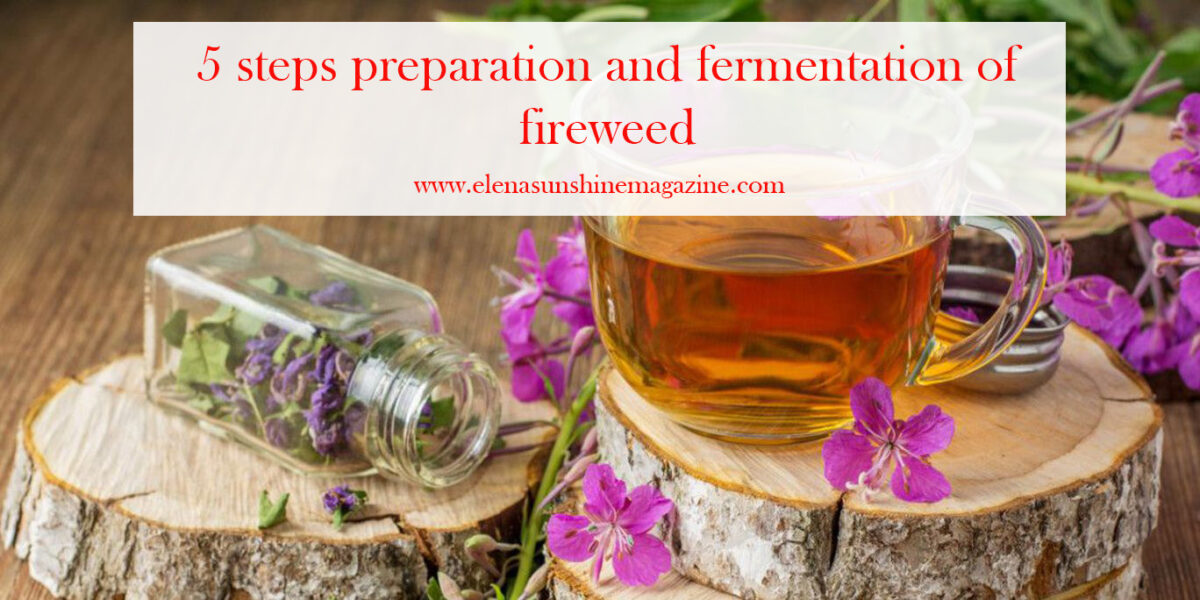 5 steps preparation and fermentation of fireweed
