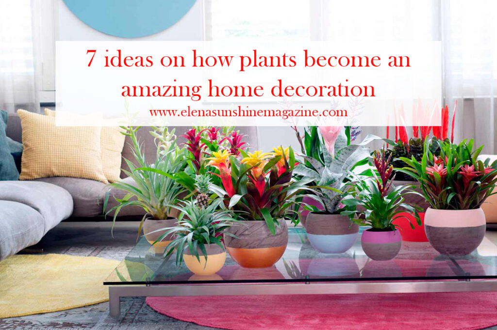 7 ideas of how plants become an amazing decoration
