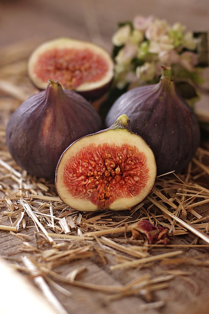 Figs