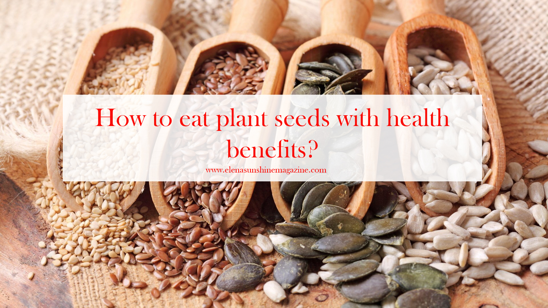 How to eat plant seeds with health benefits? Elena Sunshine Magazine®