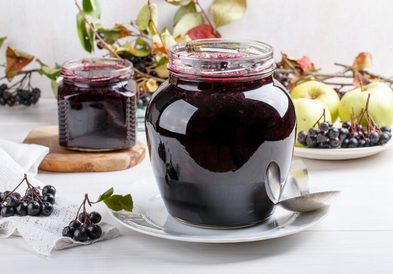 Healthy superfood: recipes with chokeberry - Elena Sunshine Magazine®
