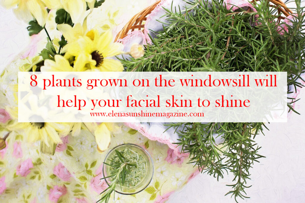 8 plants grown on the windowsill will help your facial skin to shine