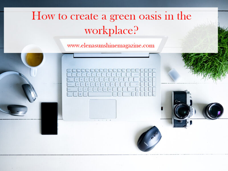 How to create a green oasis in the workplace?