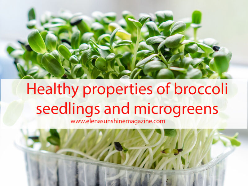 Healthy properties of broccoli seedlings and microgreens