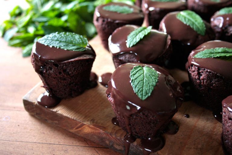Mint herb in chocolate
