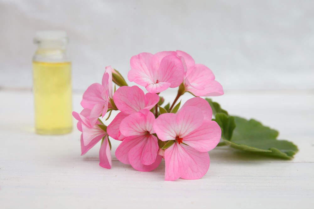 Tonic with rose and geranium oil