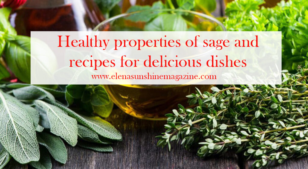 Healthy properties of sage and recipes for delicious dishes