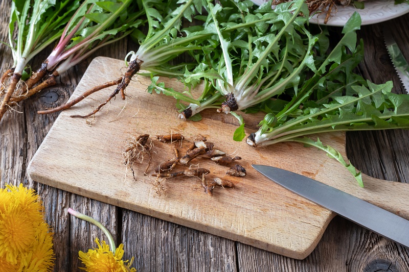 Fried dandelion roots