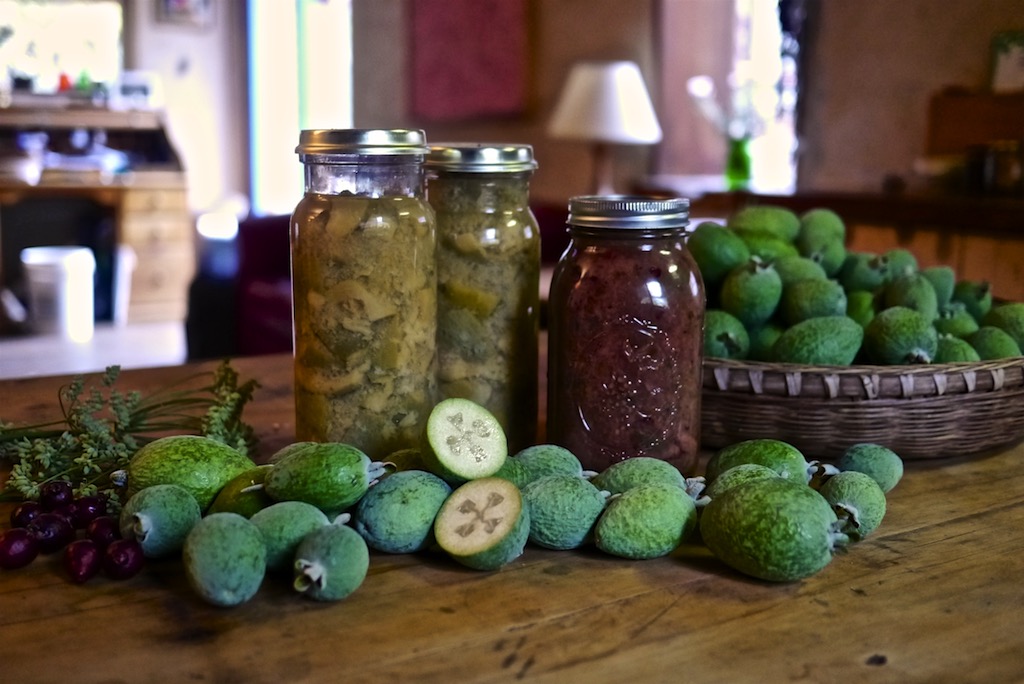 Feijoa jam with orange and honey