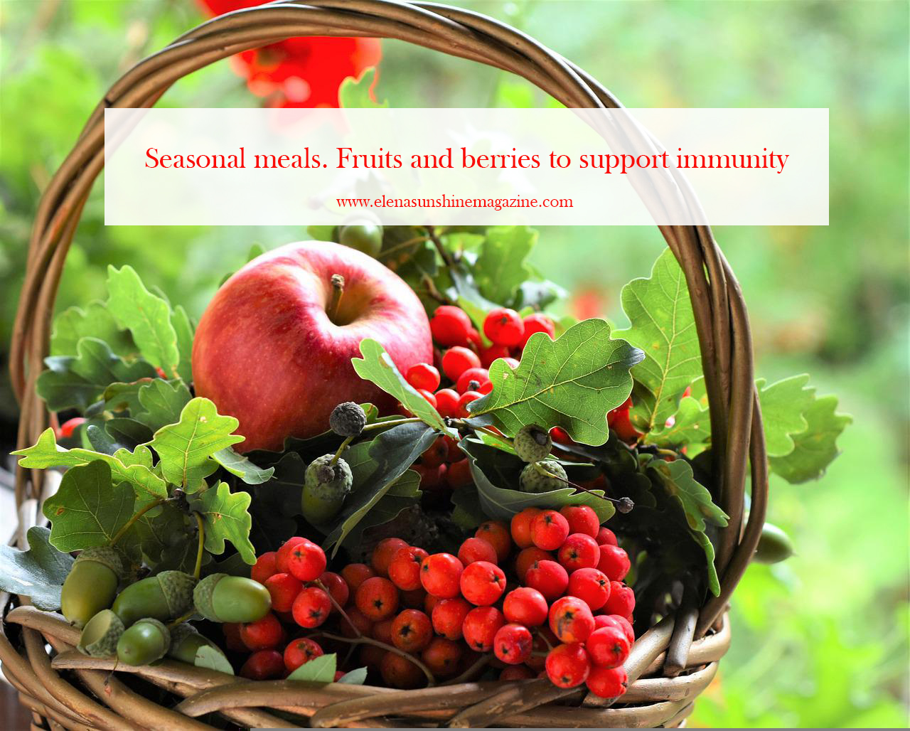 Seasonal meals. Fruits and berries to support immunity