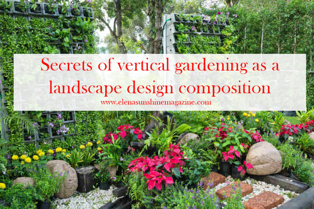 Secrets of vertical gardening as a landscape design composition
