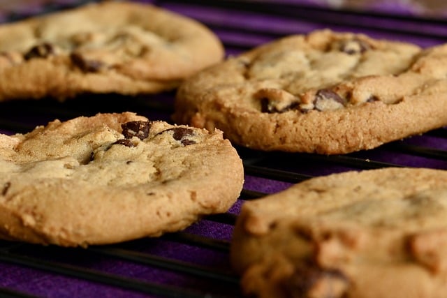 pumpkin cookies