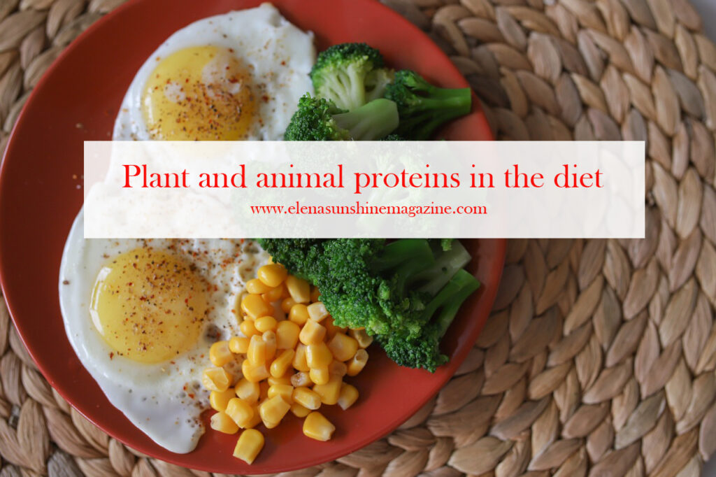 Plant and animal proteins in the diet