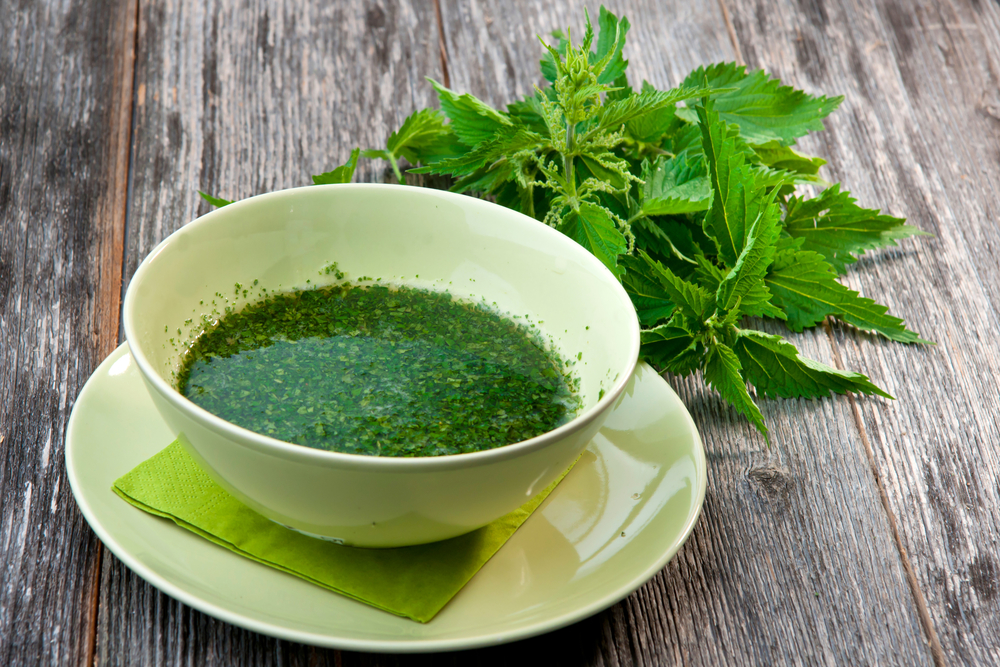 Nettle