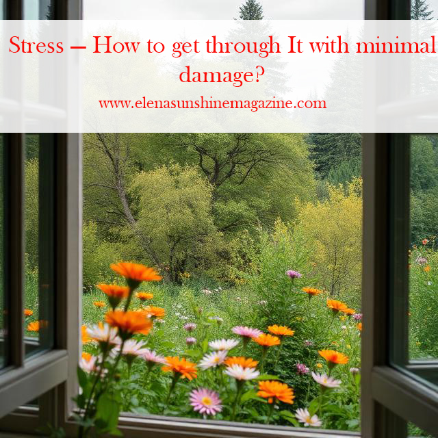 Stress — How to get through It with minimal damage?